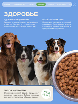 Корм сухой для взрослых собак породы Лабрадор-ретривер, с ягненком, 12 кг, QUATTRO
