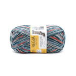 Regia Design Line 4 ply - 03657 (summer night color)