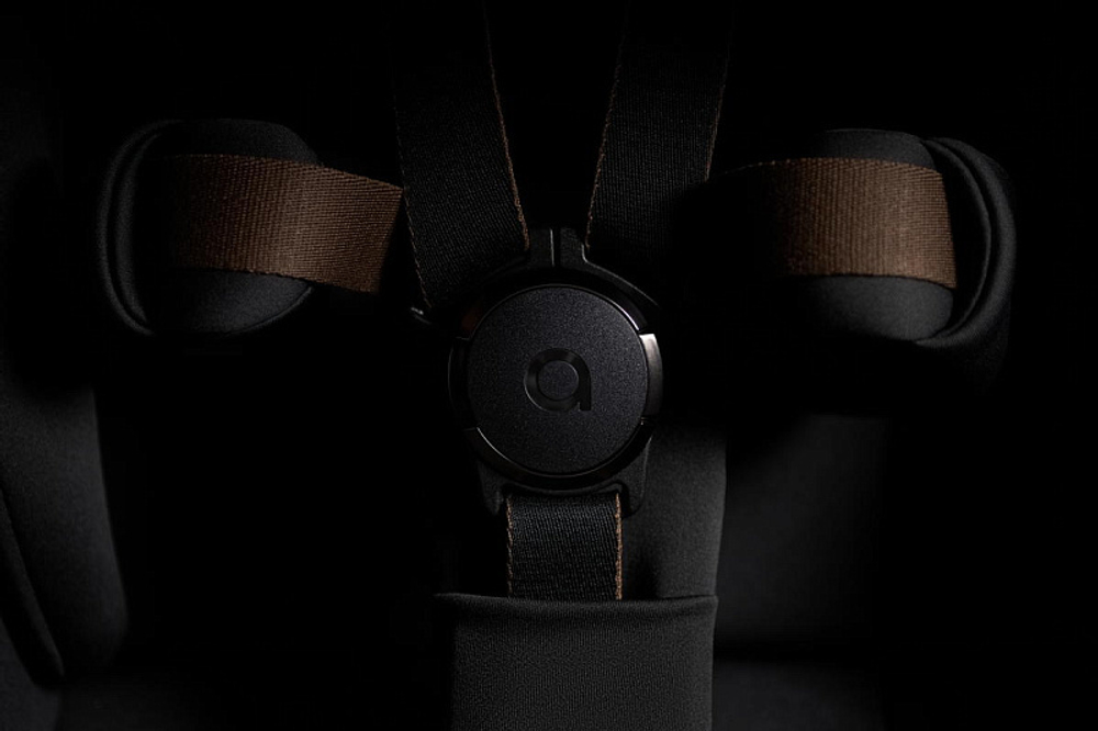 Детская коляска Anex Flo 2 в 1 Lungo