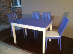 Стол обеденный  Ирис 60х90 (бук/прованс/подстолье тон 1)