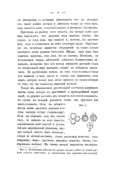Целлюлярная патология. Основанная на теории ячеек | Р. Вирхов