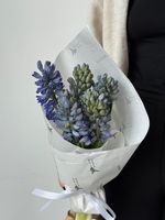 Кулек из гиацинтов