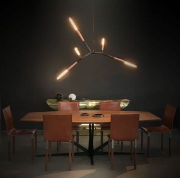 PHASMIDA by christopher boots