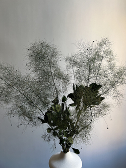 Котинус стабилизированный зеленый