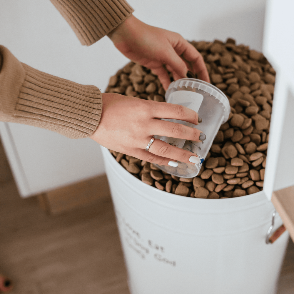 Контейнер для хранения корма "Баки для собаки" 40л Rachel WOW