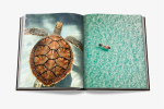 Книга Assouline Jamaica Vibes в твердом переплете