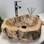 Раковина из окаменелого дерева FossilBasin OD-62138 54*43*15