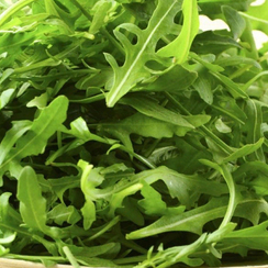 Триция семена рукколы (Enza Zaden / Энза Заден)