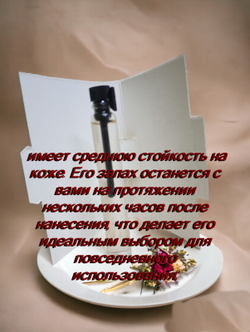 Парфюмерная вода унисекс СвеТLана Mr.Newl C&M070-14 3 мл