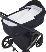Детская коляска Rant Garda 3 в 1 с автокреслом Evomax Black Black