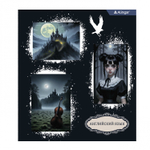 Комплект предметных тетрадей А5 48л., 10 предметов, со справ матер, скрепка, мелов. картон (стандарт), блок офсет, Alingar "Mystical wednesday"