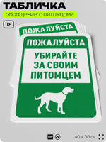 Табличка "Убирайте за своим питомцем" на дверь и забор, для двора, дома, подъезда, 40х30 см, Silver Plane x Айдентика Технолоджи