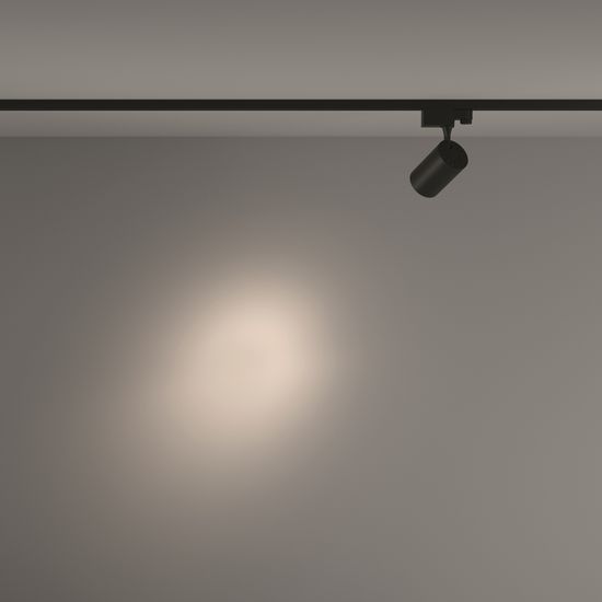 Трековый светильник Technical TR029-3-10W4K-S-B