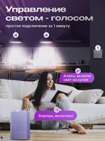 Умный двухклавишный выключатель "Алиса", с Wi-Fi и подсветкой, встраиваемый, серый