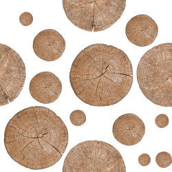 Коллекция Текстуры и фактуры