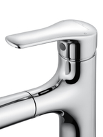 Смеситель для раковины с выдвижным изливом WONZON & WOGHAND, Хром (WW-AE4151-CR)