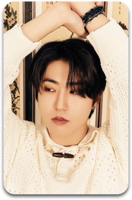 Карта / STRAY KIDS #1316