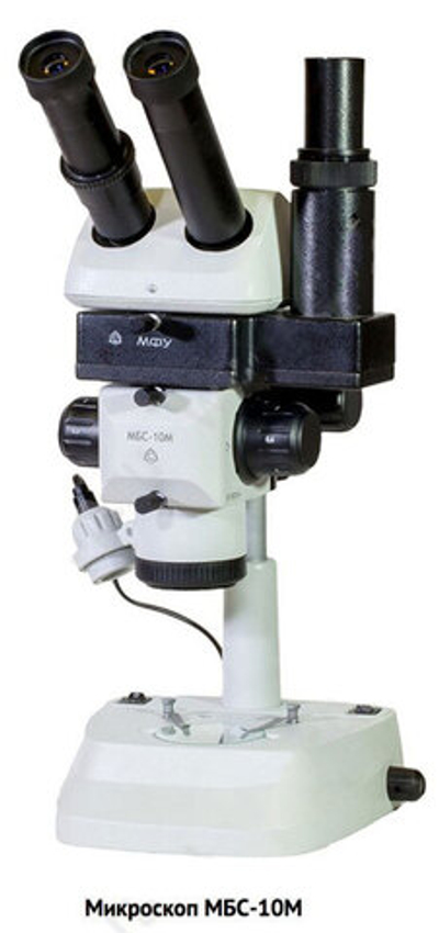 Микроскоп стереоскопический МБС-10М