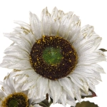 Искусственные цветы «FLOWERS GLAMOUR» 63см Подсолнухи 2 цветка белые