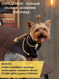 Спортивный комбинезон костюм для собак