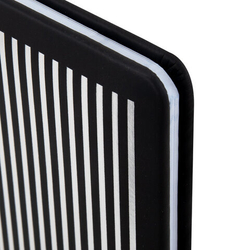 Дневник для музыкальной школы 48л, обложка кожзам твердая, фольга, BRAUBERG, МУЗЫКАНТЫ, 107366