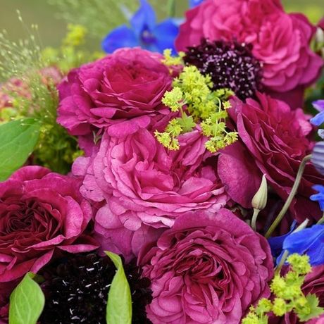 Каффи Фассетт (Kaffe Fassett)