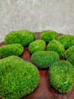 Декоративные камни из мха