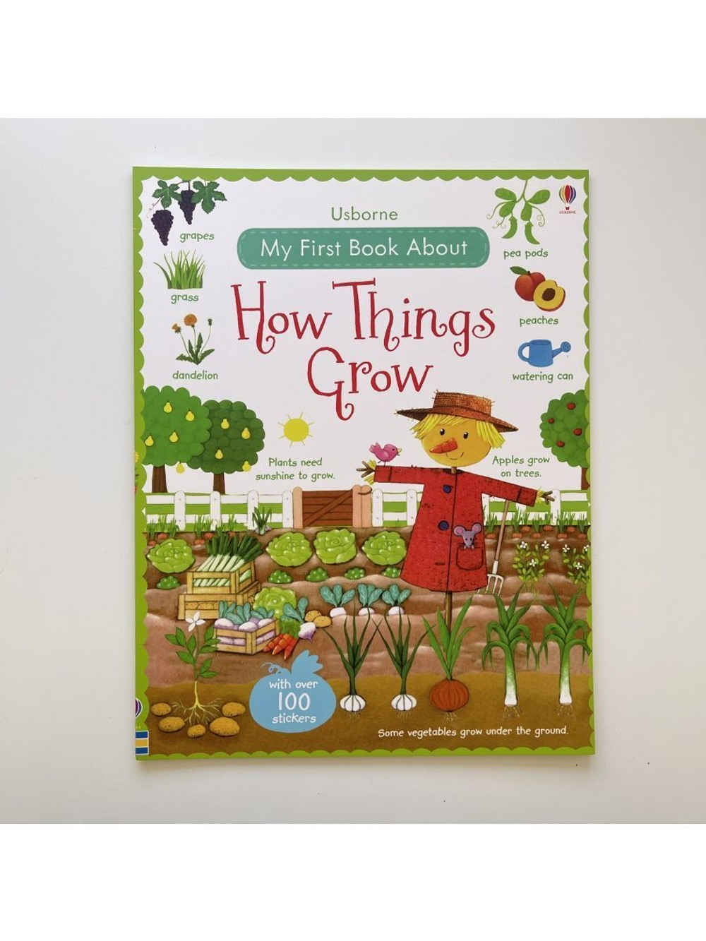 My First Book About How Things Grow.