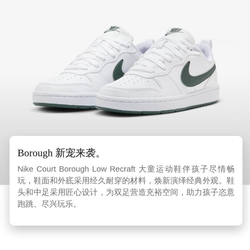 Женские кроссовки Nike Court Borough Low Recraft 'White Vintage Green' DV5456-122