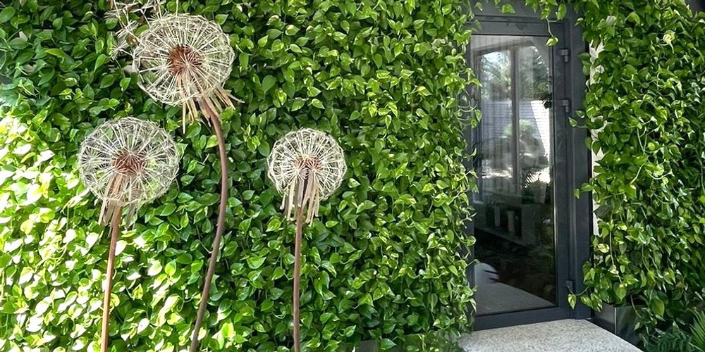 "Зеленые стены" из живых растений