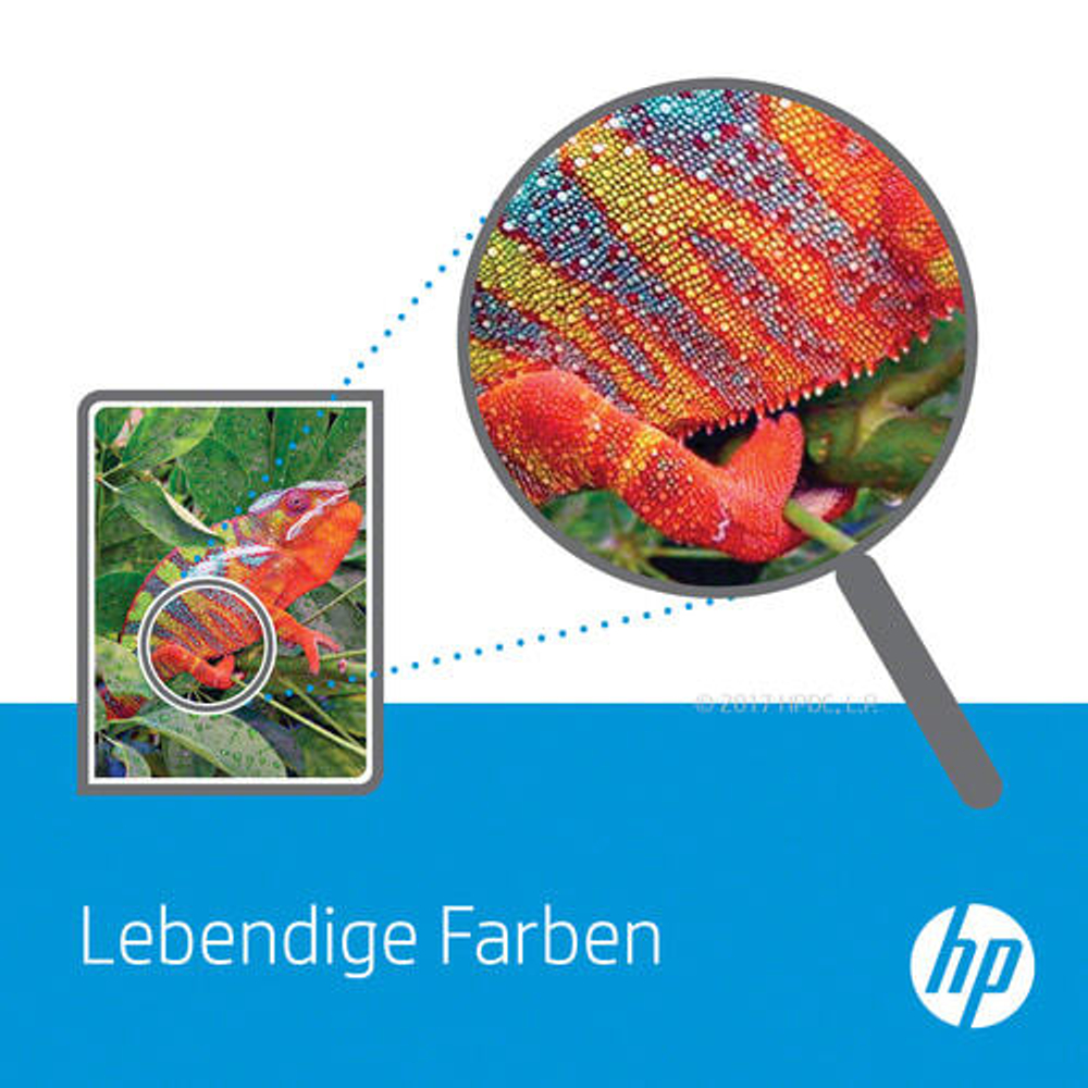 HP 10 Подлинный Черный 1 шт C4844A