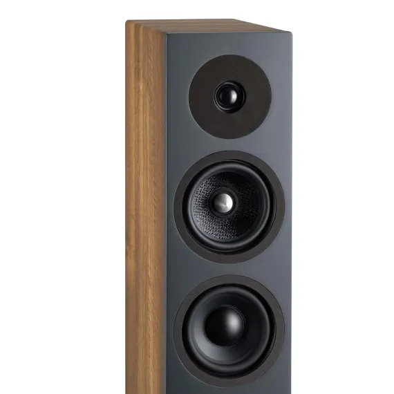 Davis Acoustics Krypton 6 Classik Walnut