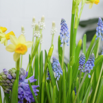 Композиция с первоцветами Брёвна L