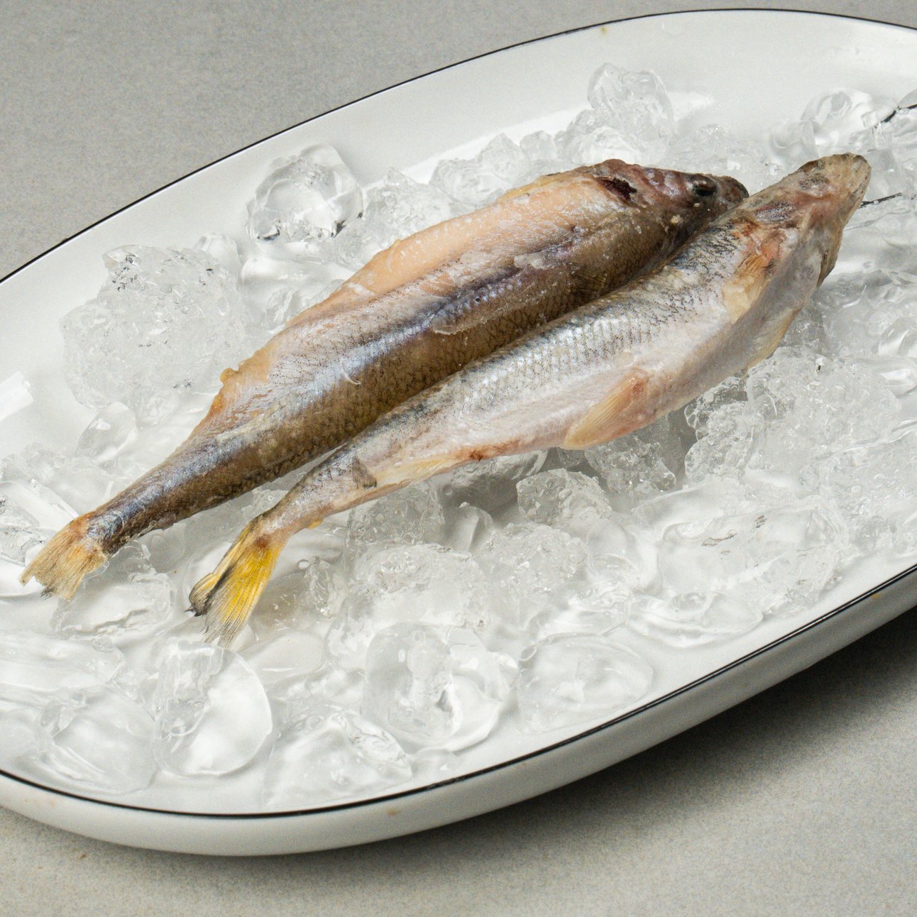 Корюшка н/р 16+