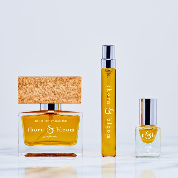 Thorn and Bloom Bird of Paradise