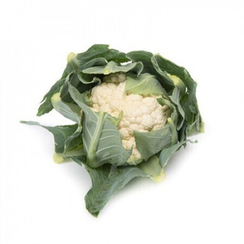 АРИЕНЦО F1 семена капусты цветной (Rijk Zwaan | Alexagro)