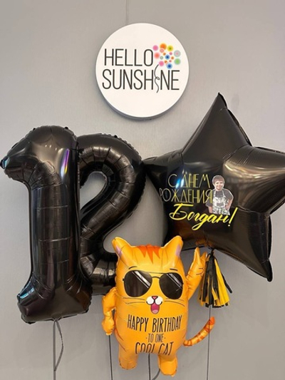 Набор шаров Кот в очках