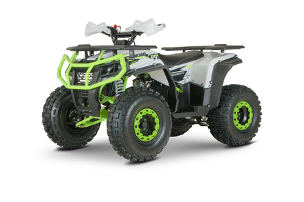 Квадроцикл (комплект для сборки) Yacota DRAGON One 125