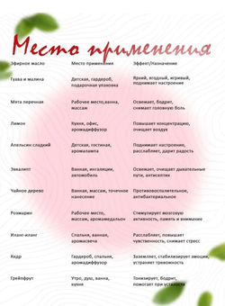 Эфирное масло «Гуава и малина», 10 мл, «Богатство Аромата»