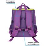 Ранец Berlingo Concept Friendship 35х27х16см, 1 отд. с эргономичной спинкой