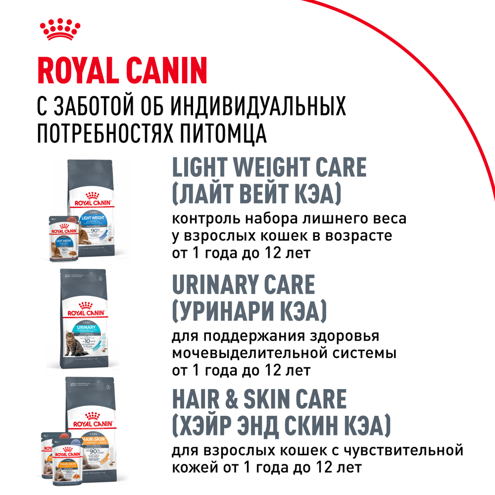 Royal Canin Maine Coon Adult Корм сухой сбалансированный для взрослых кошек породы Мэйн Кун 0,4 кг