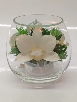 натуральные цветы в стекле, вакуум