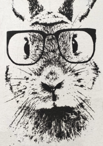 Плед 130х200 Кролик ПД061