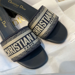 Christian Dior Dway Heeled Slide