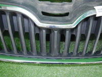 Решетка радиатора Skoda Rapid (2012-2020)