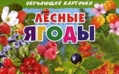 ЛИТУР ОбучКарточ Лесные ягоды