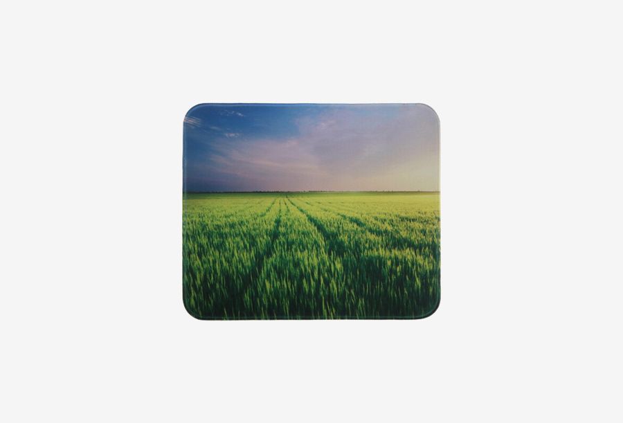 Aceline Nature 05_0126526101520