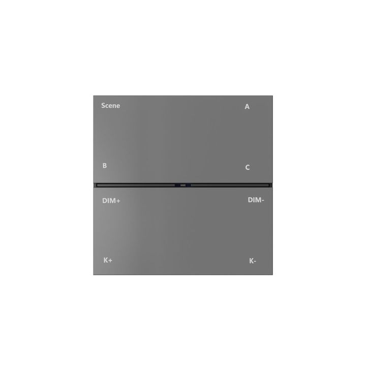 Панель управления Denkirs Control BT DK7201-DG