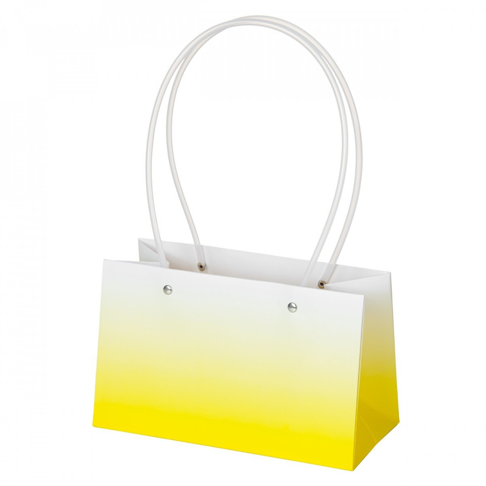 Пакет ПРЯМОУГОЛ 22*10,5*13,5см ГРАДИЕНТ