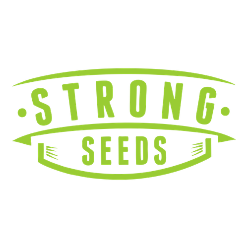 Sweet Gelato Fast fem